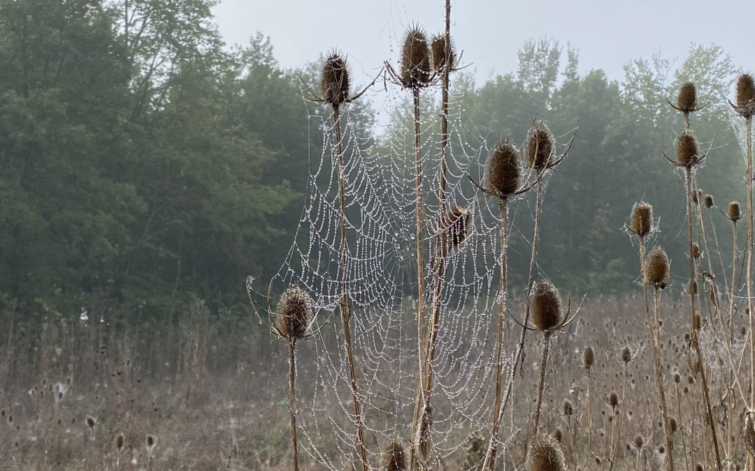 Vertrauensvolles Netz an Beziehungen