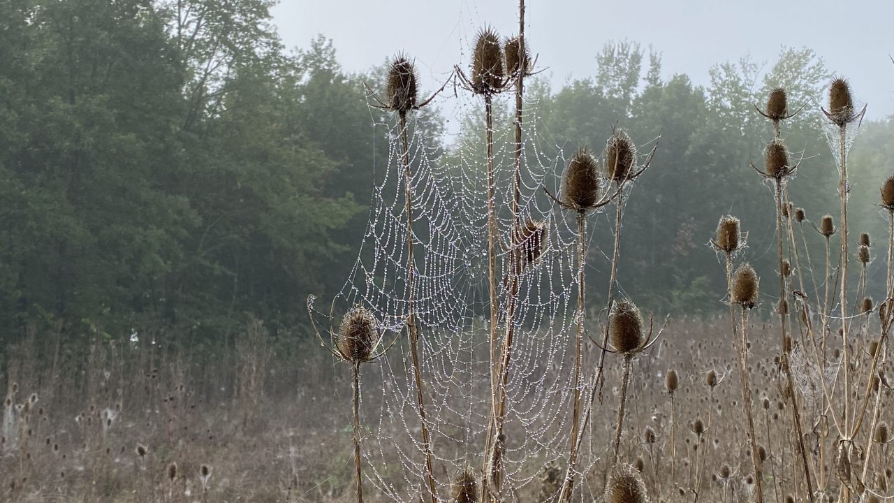 22 10 06 10 38 26 4451