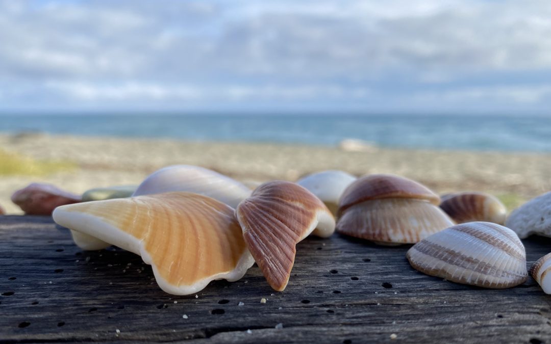 22 10 10 10 15 02 4781