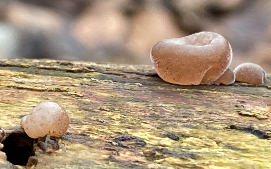 Ein paar Worte und Gedanken zum Jahreswechsel – oder warum die Barbara Messer nicht in der Schweiz ist.