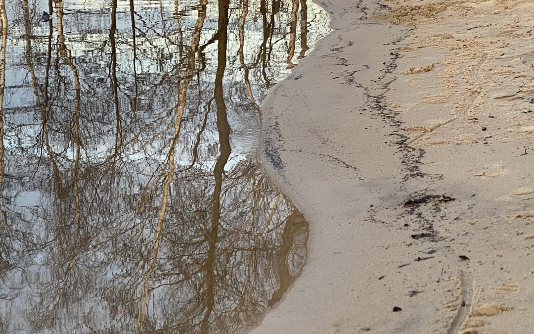 Der Schatten im Spiegel