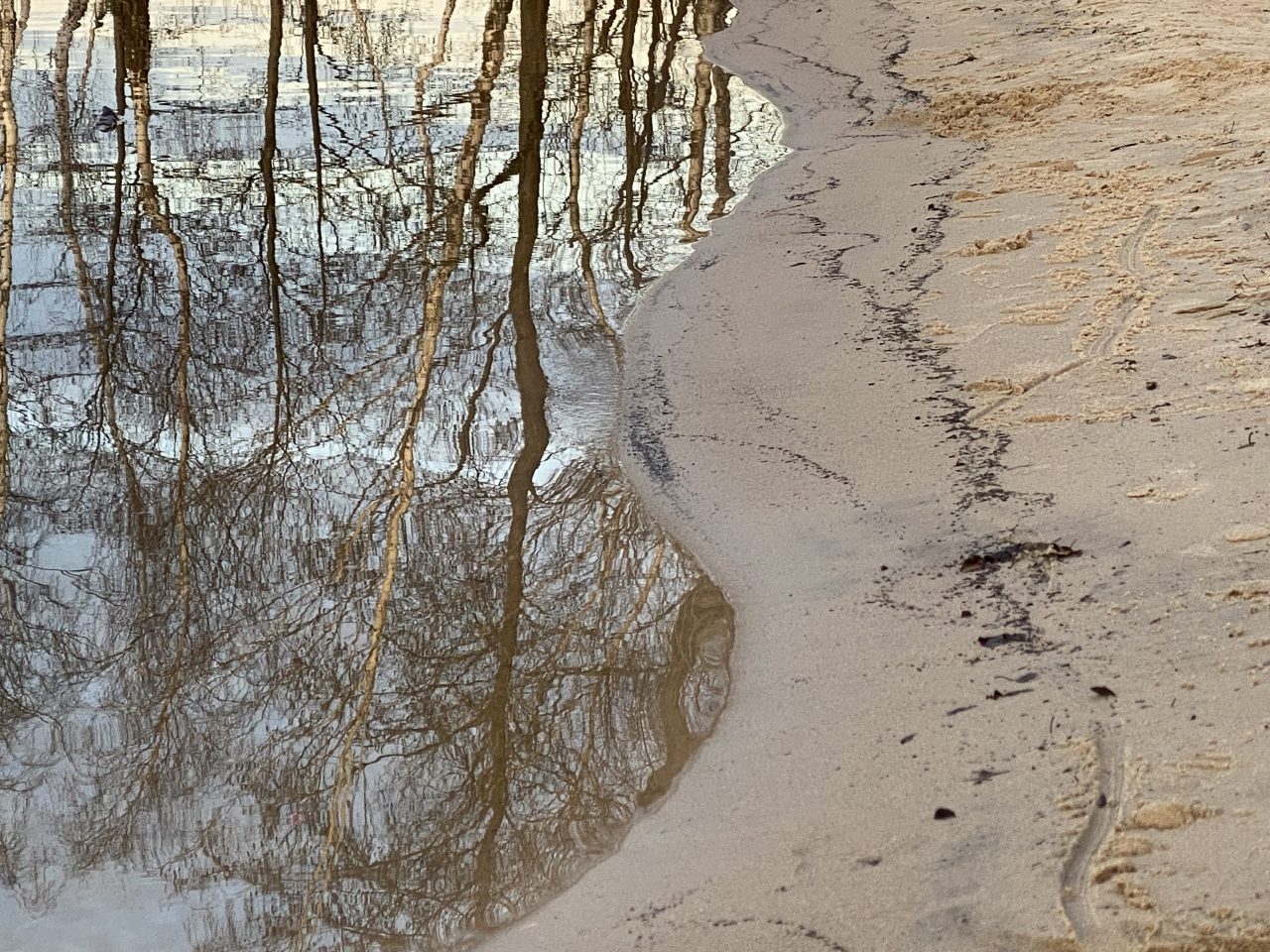 Der Schatten im Spiegel