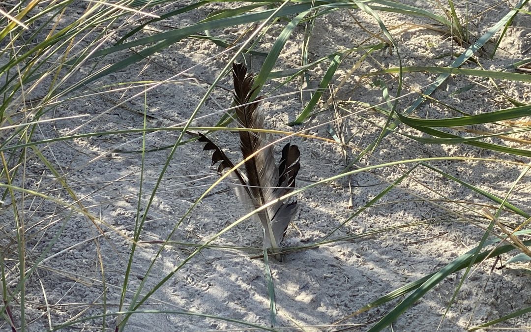 Meine treue Gefährtin geht