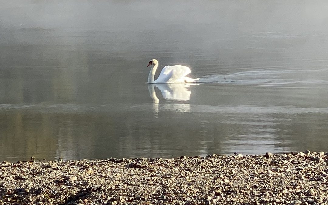 Stille ist ein kostbares Gut