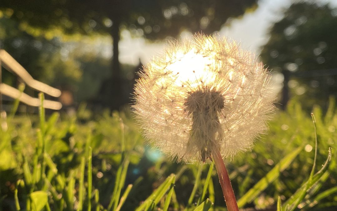 Schreiben ist heilsam!