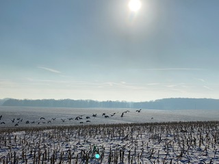 „Wie hast Du das gemacht?“