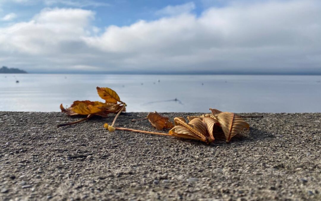 Agil leben – warum ein flexibles Mindset mehr bringt als das sicherste Fundament