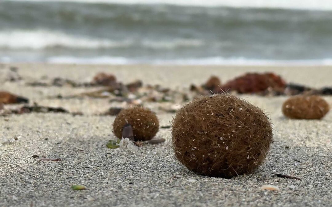 Die Kunst der Positionierung – Ein Coach findet seinen Platz