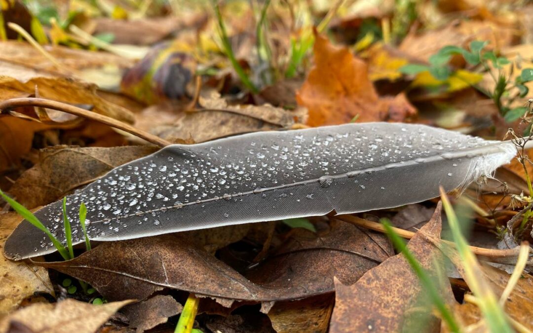 Lieber leiden als lösen? – Ein Plädoyer für den Mut zur Eigenverantwortung