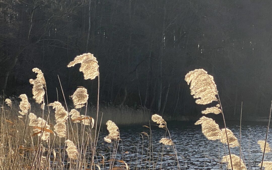 Warum ich kein Advents-Fan bin – Eine Zeit für klare Weichenstellungen
