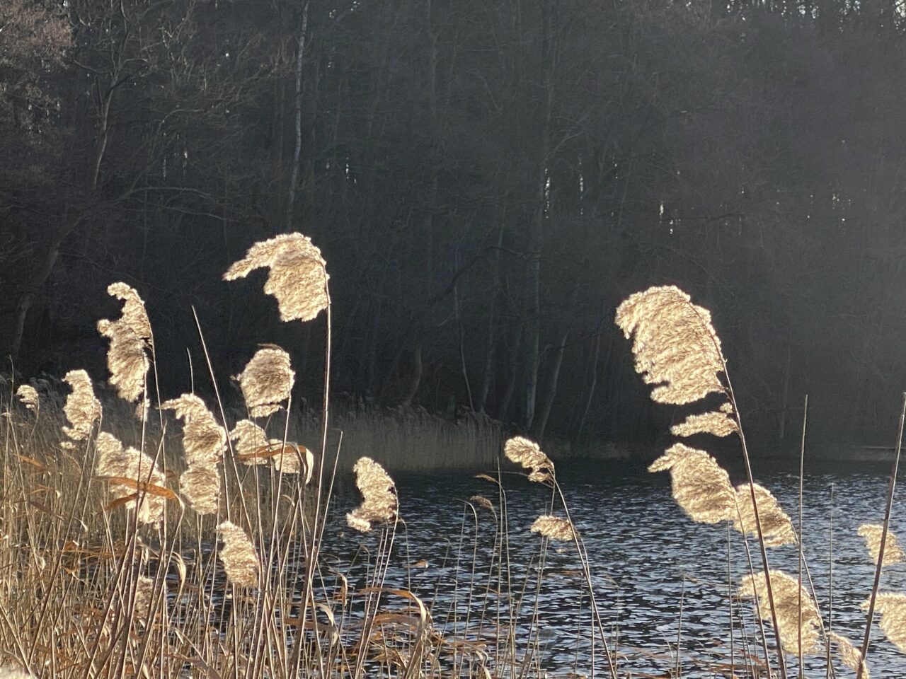 Warum ich kein Advents Fan bin – Eine Zeit für klare Weichenstellungen