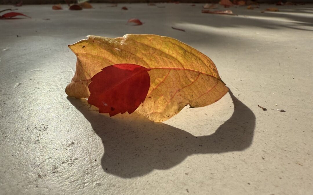 Convenience – Wie viel Einfachheit tut uns wirklich gut?