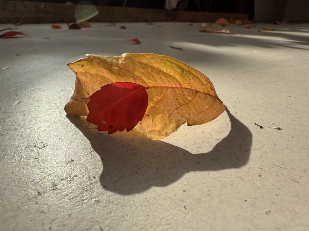 Convenience – Wie viel Einfachheit tut uns wirklich gut