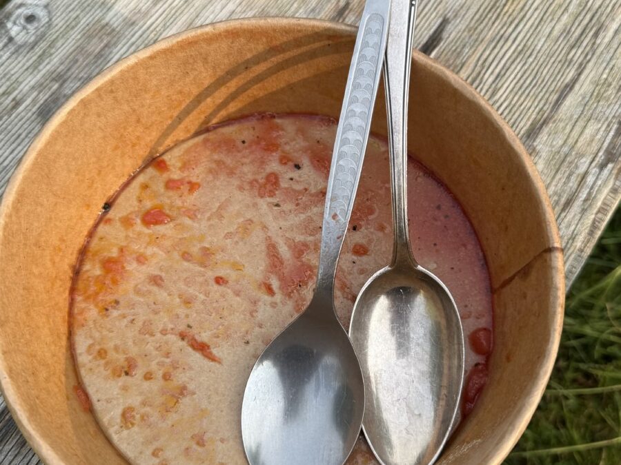 Sich entschuldigen können – oder auch nicht