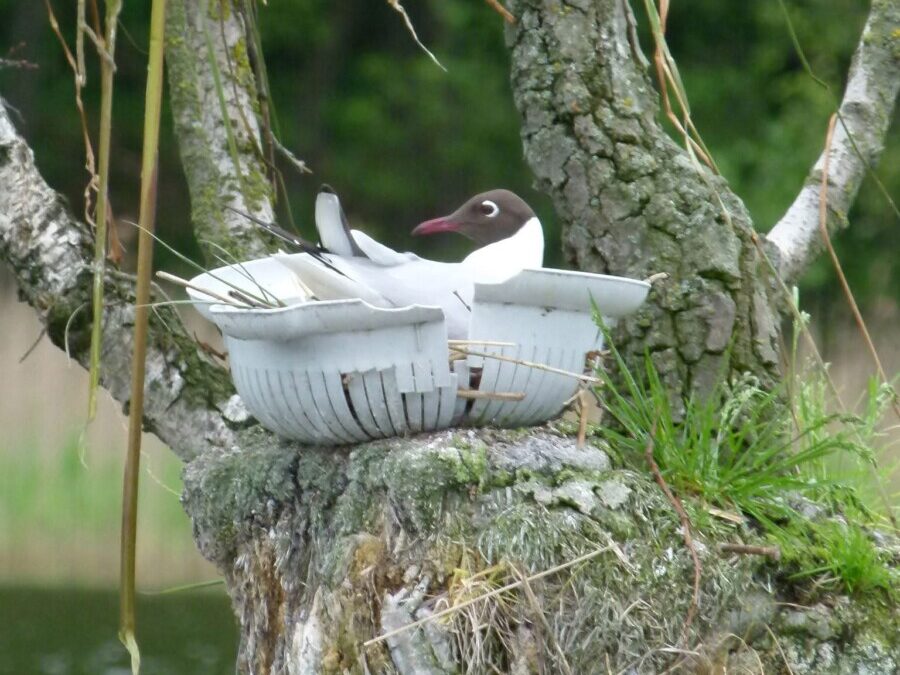 Wirklich wirksam werden – jenseits vom Gefallenwollen